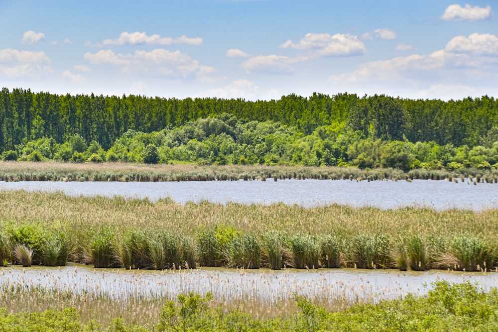 dsc-0001-3