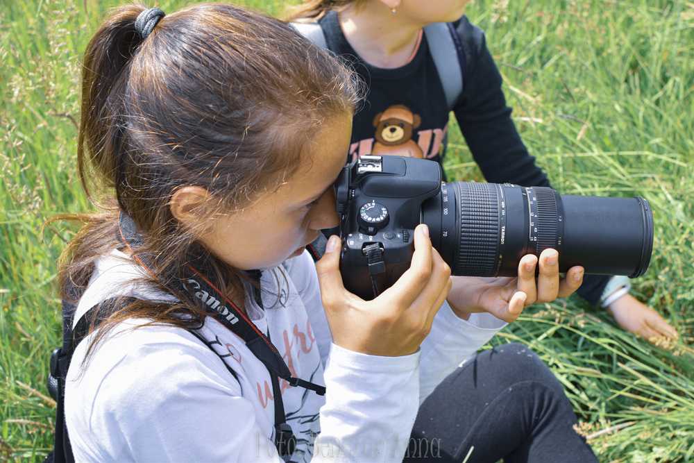 dsc-0025-6