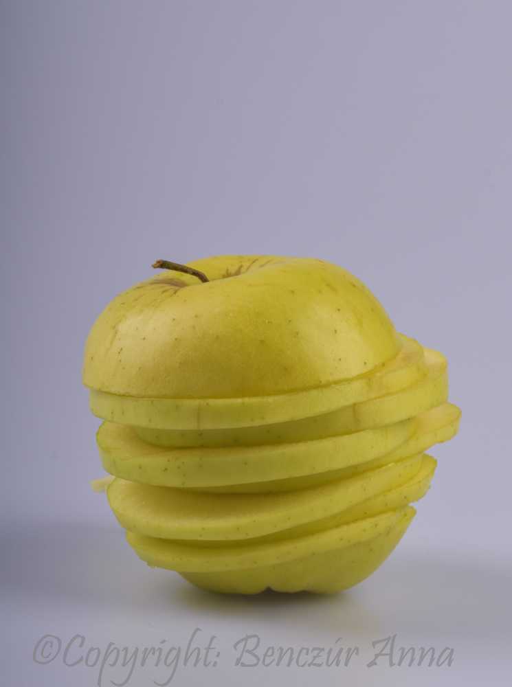 dsc-0029-2