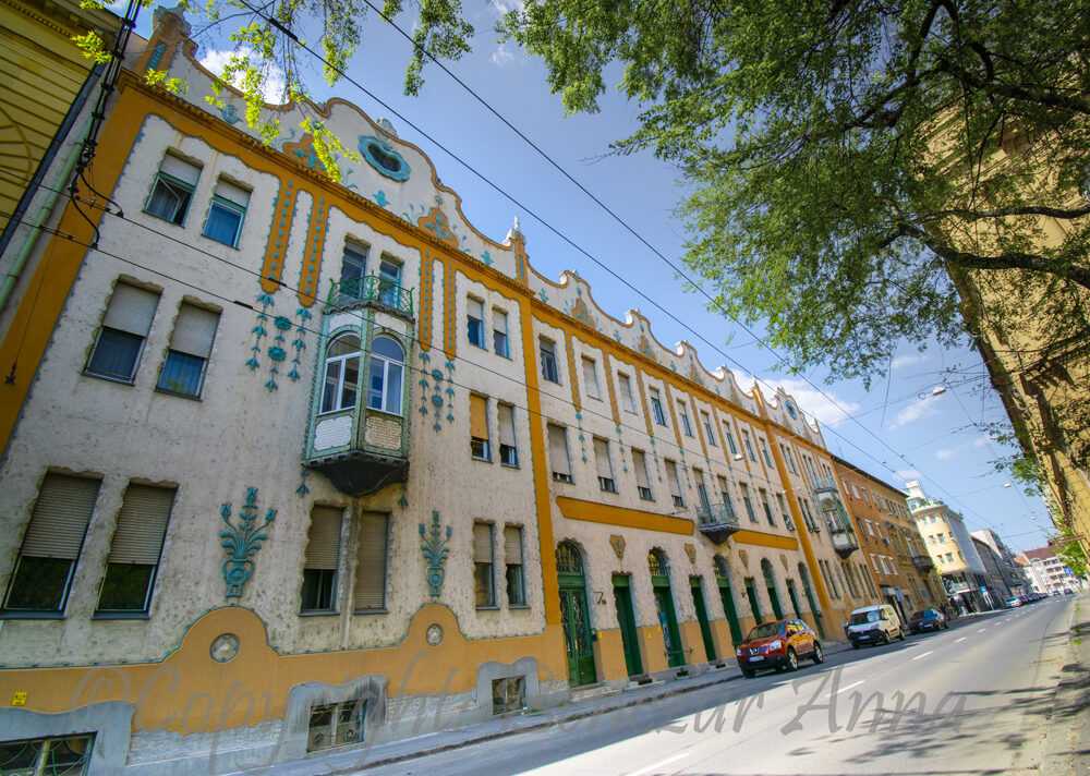 dsc-0137-2