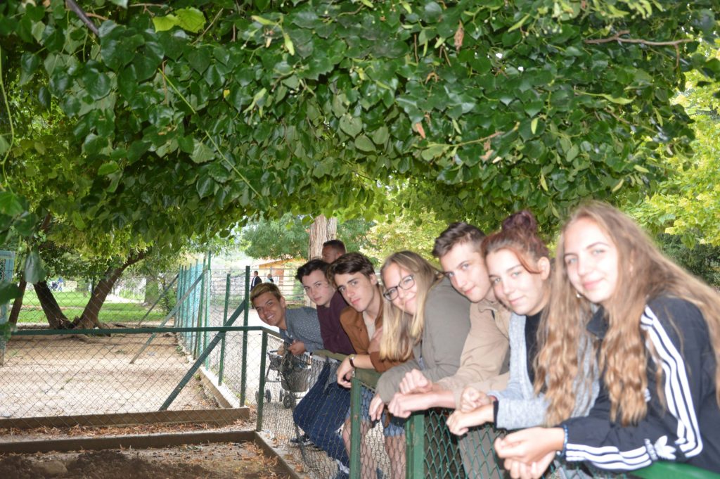 dsc-0231-scaled-2