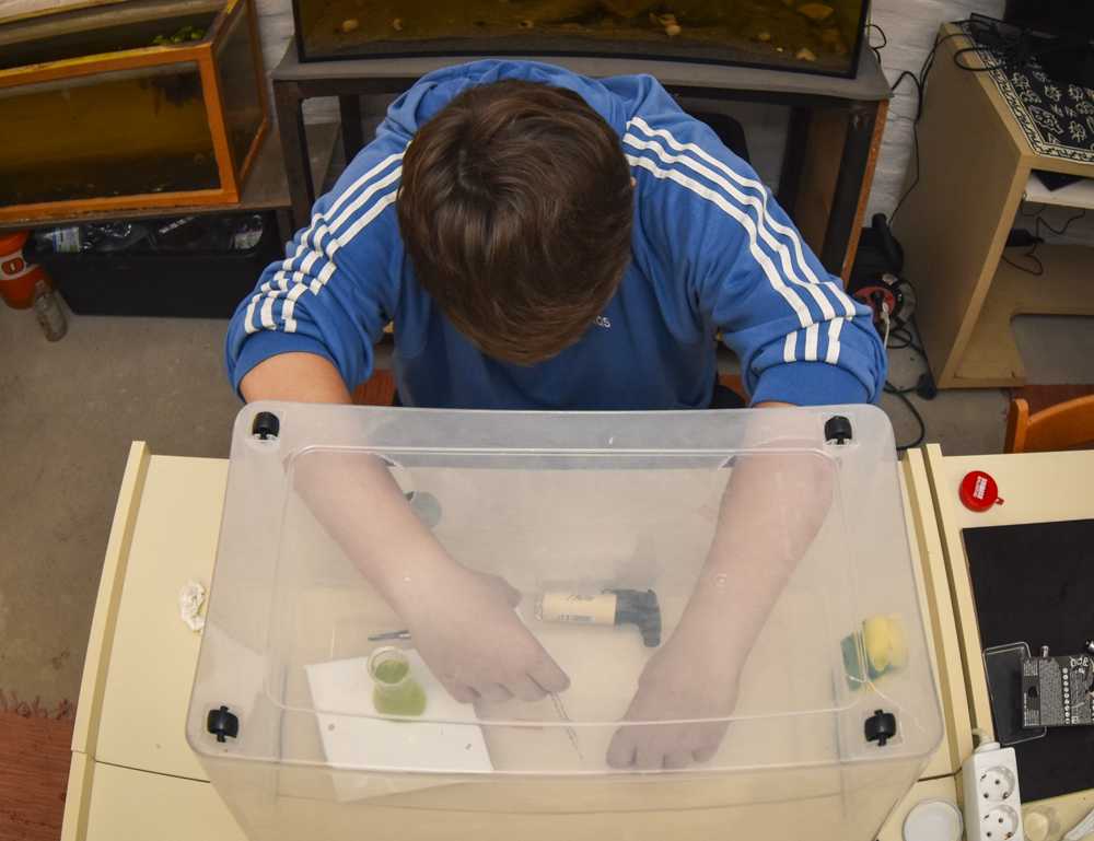 dsc-0253