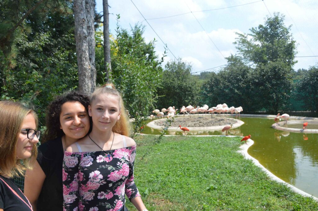 dsc-0258-2