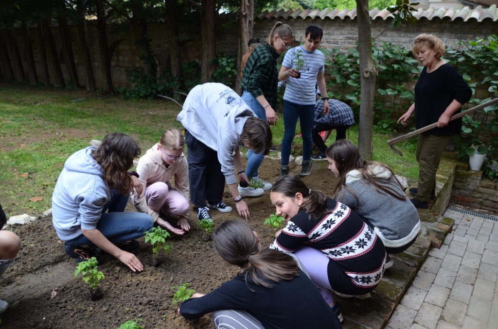 dsc-0715-1
