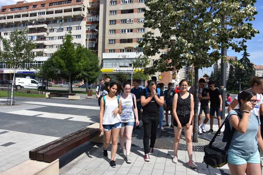 dsc-1208
