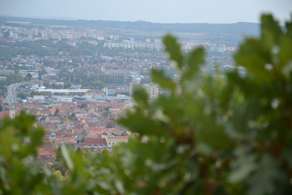 Csalap