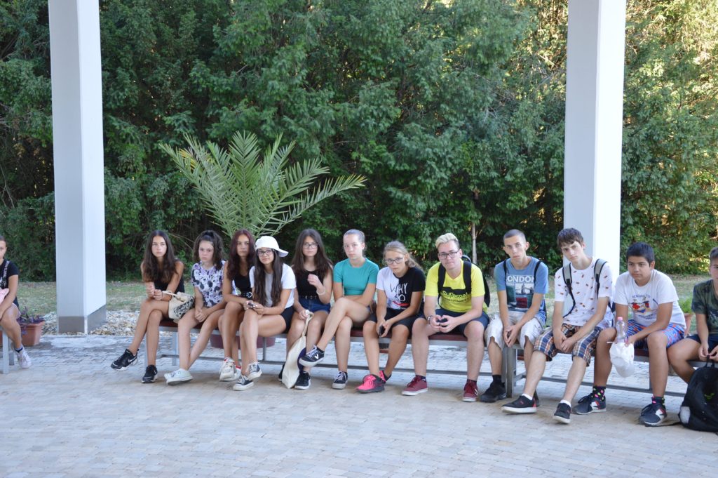dsc-2010-scaled-3