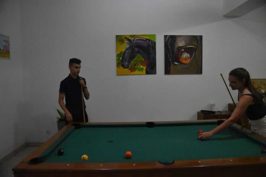 dsc-8491