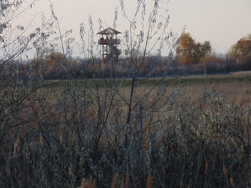dsc05736-scaled-1
