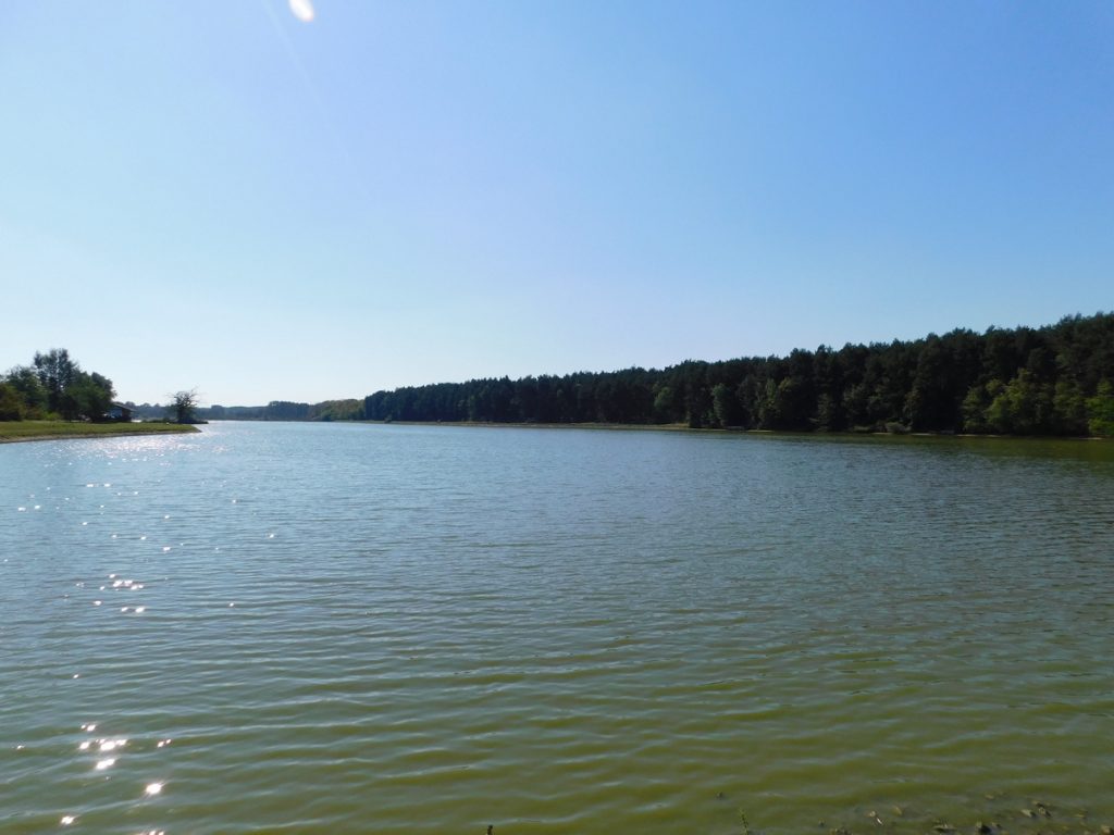 dscn0980-1-1