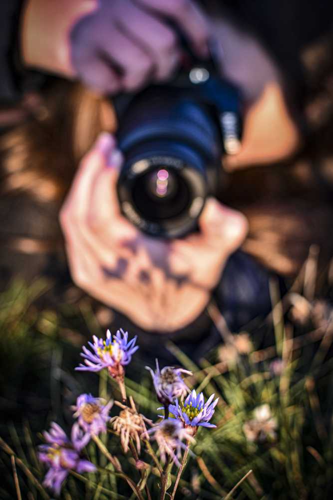 fotosfutam008-1