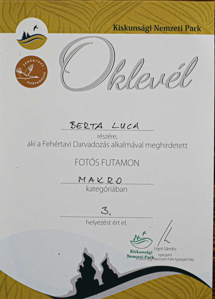 fotosfutam045-1