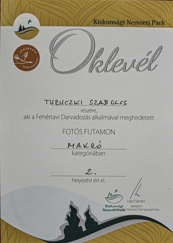 fotosfutam048-1