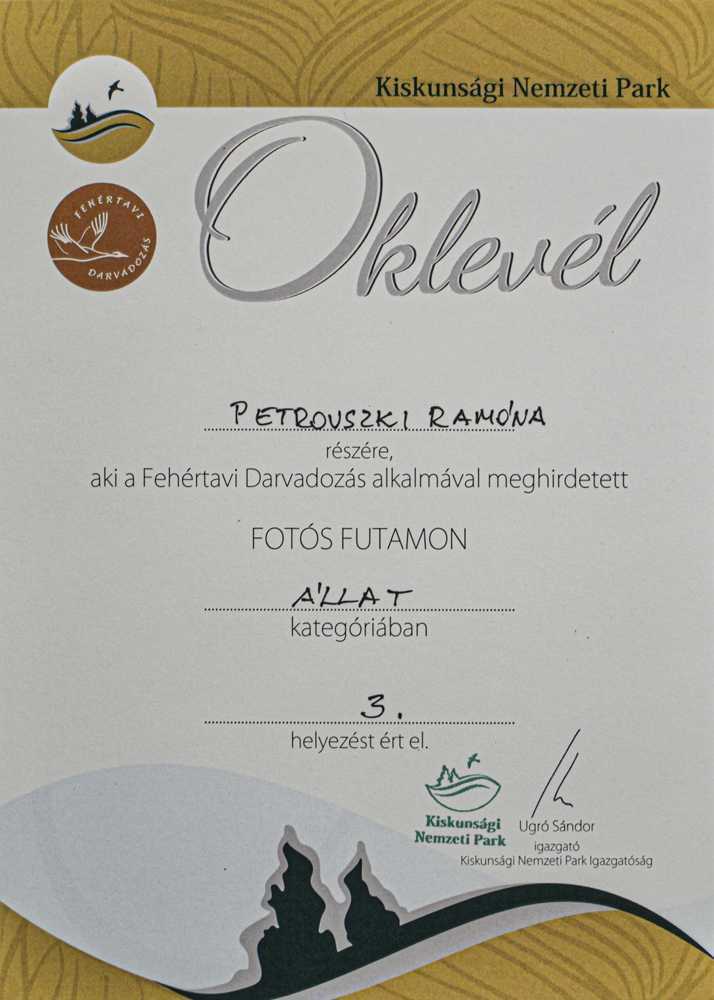 fotosfutam049-1