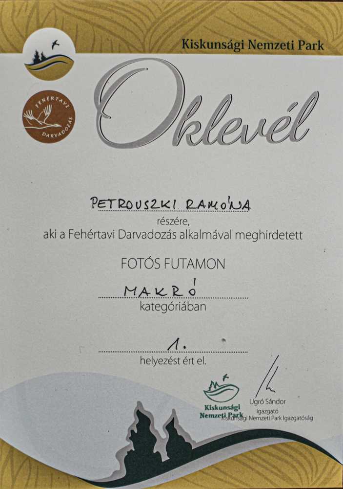 fotosfutam050-1