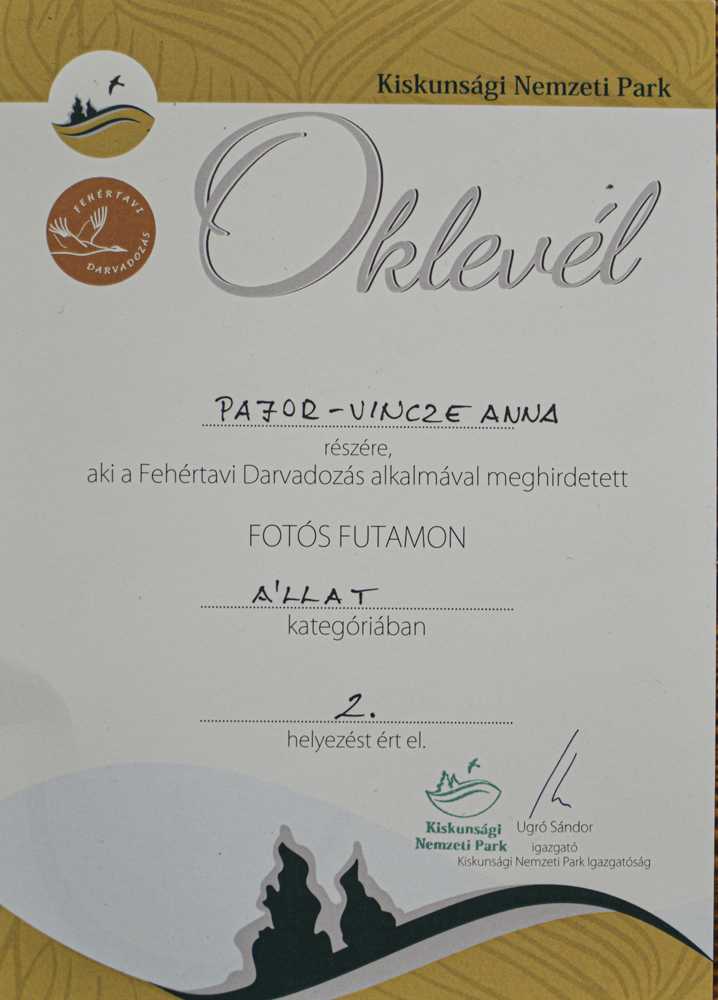 fotosfutam051-1