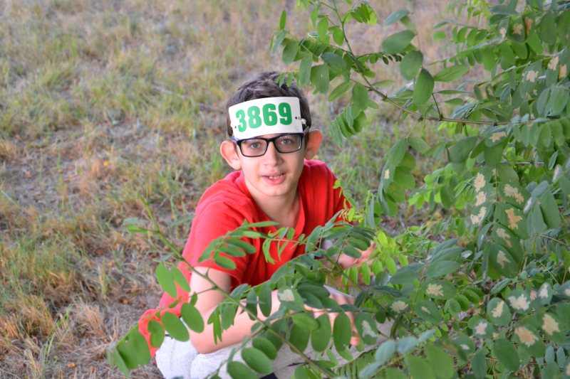 golyatabor0043