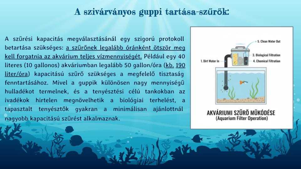 guppik-mollik-tenyesztese