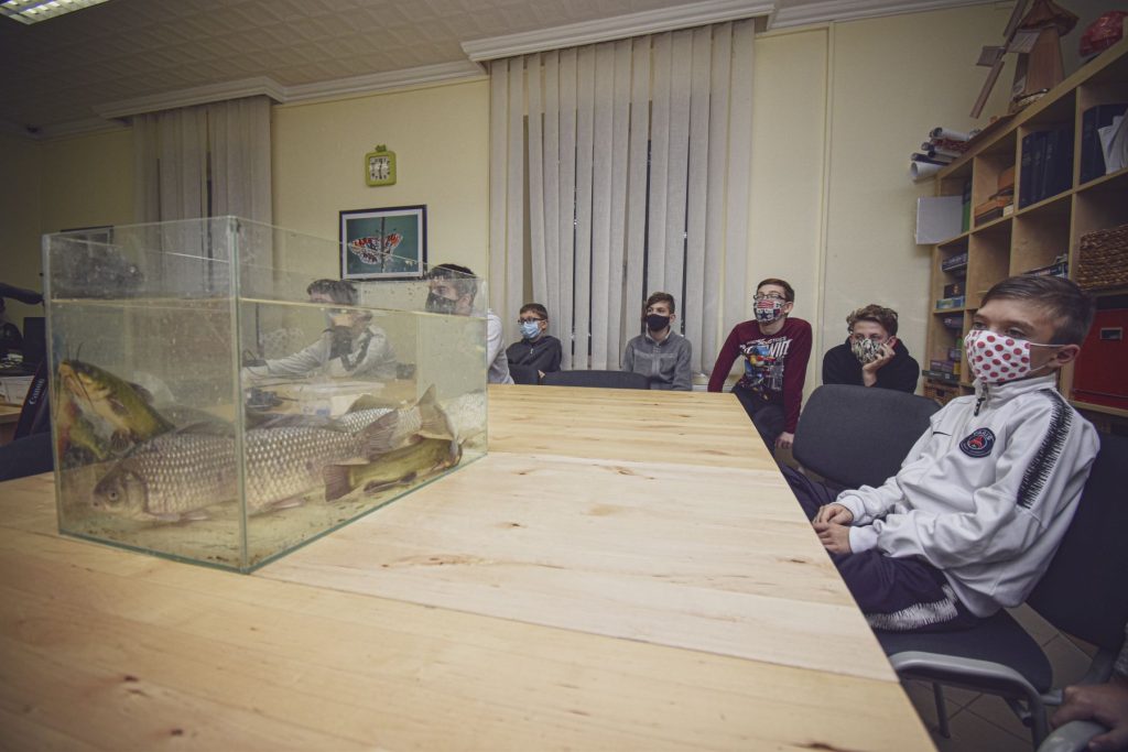 halanatomia-asvanyok010-1