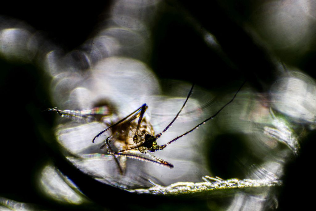 img-0008-6