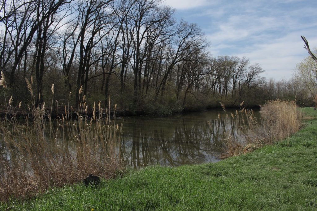 img-0021-3