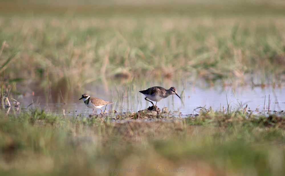 img-0023-1