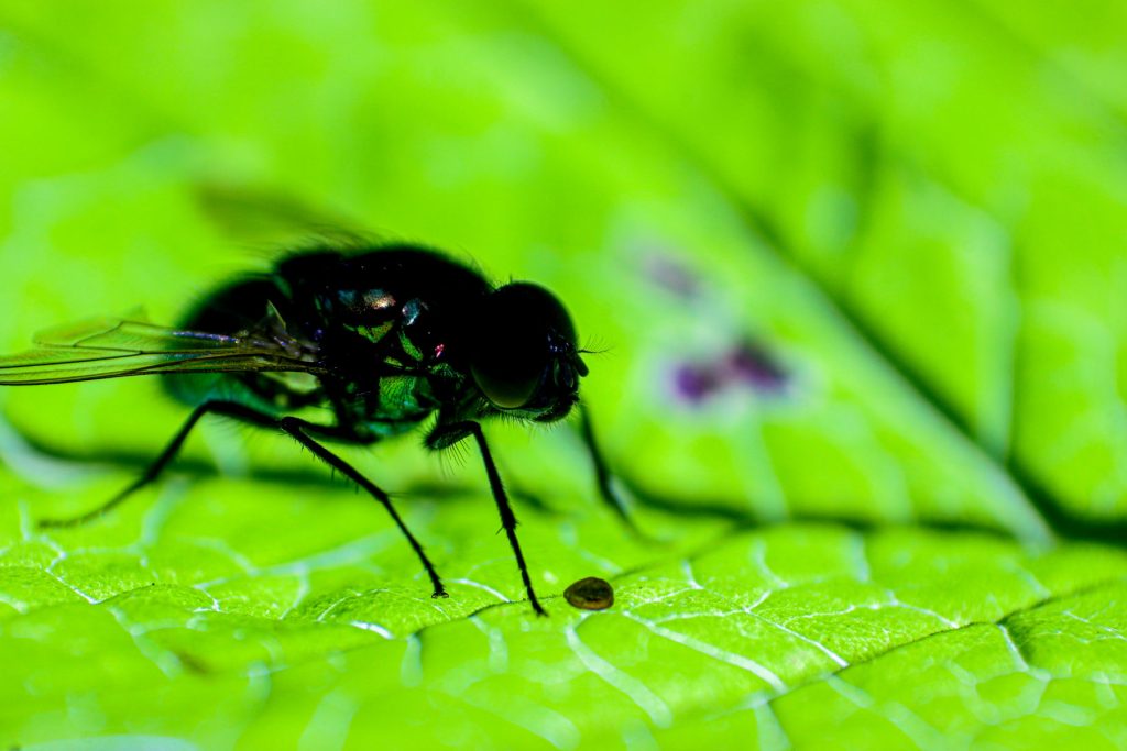 img-0058-6