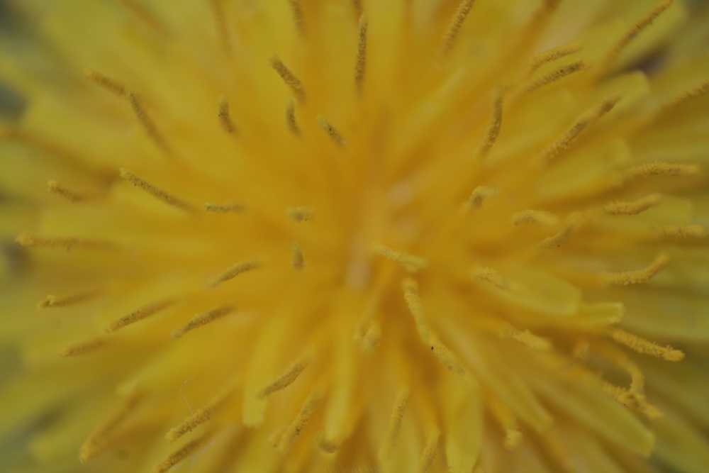 img-0082-01-1