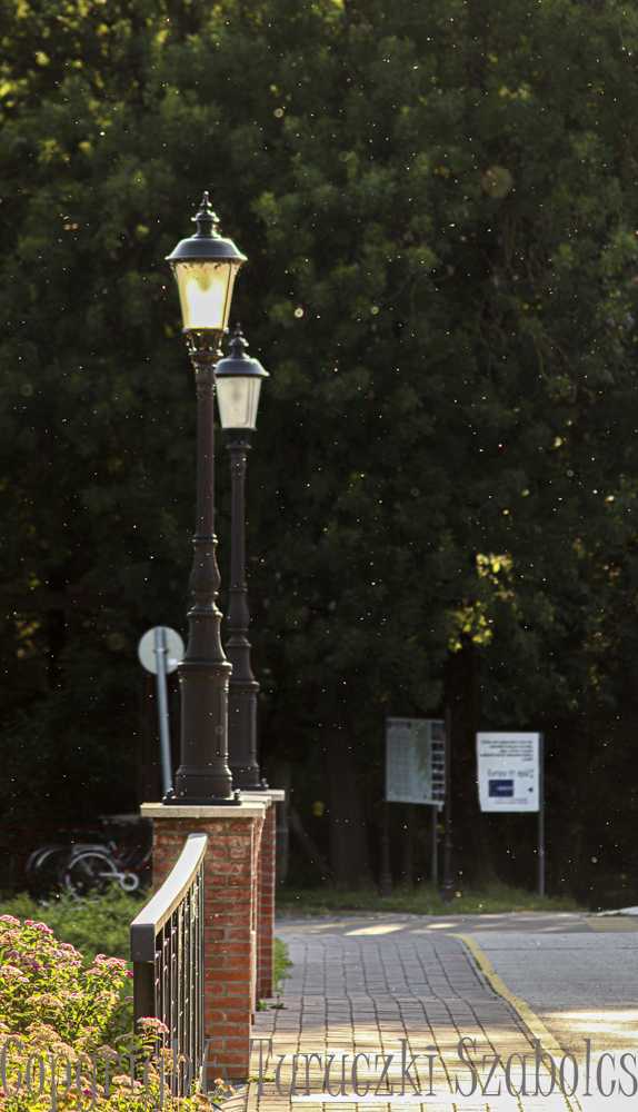 img-0094-1