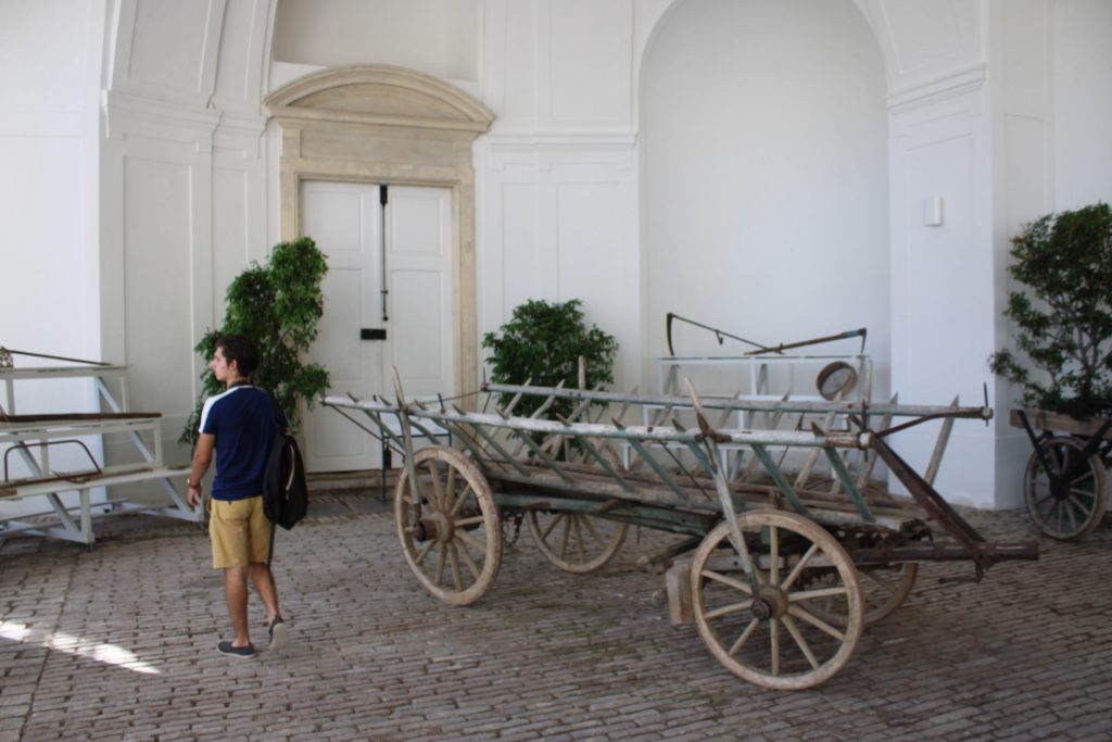 img-0103-scaled-3