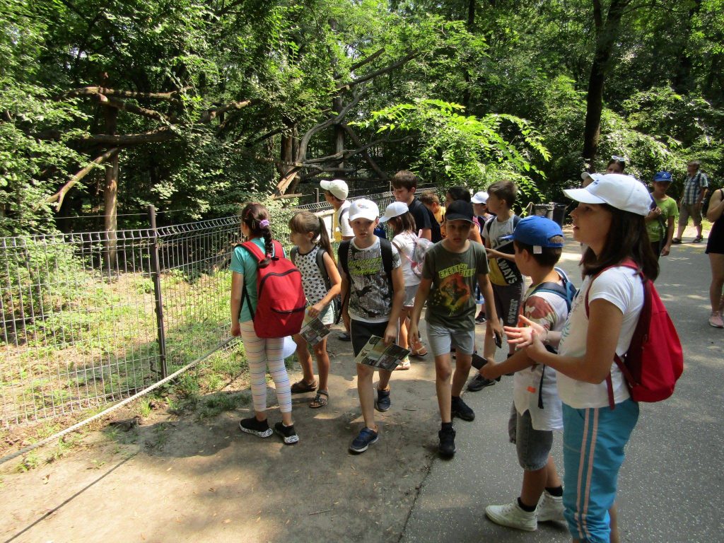 img-0127-6