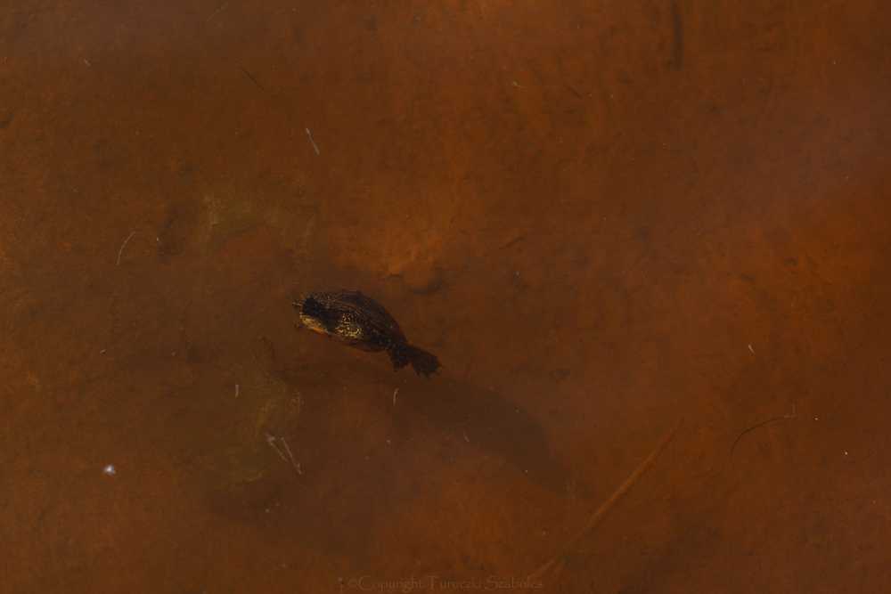 img-0127