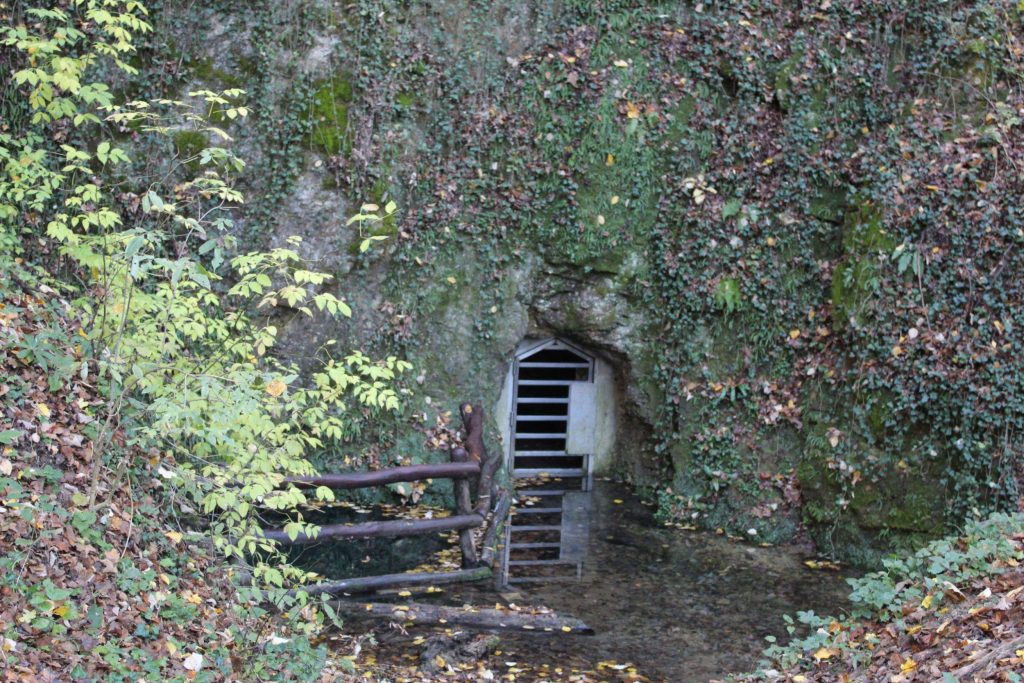 img-0132-scaled-1