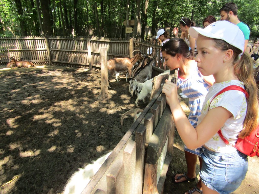 img-0139-3