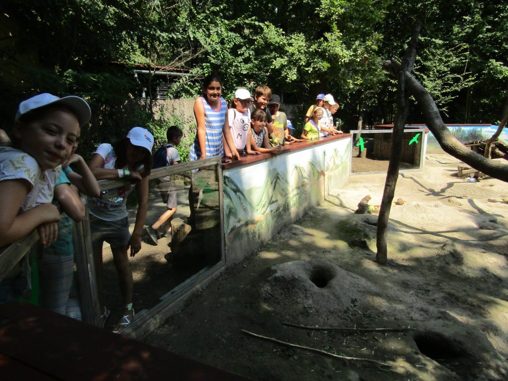 img-0149-6