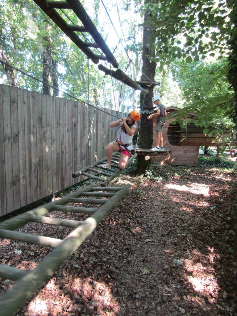 img-0166-rotated-3