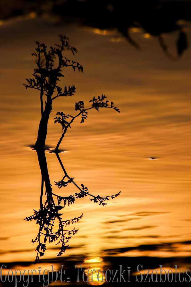 img-0174-1