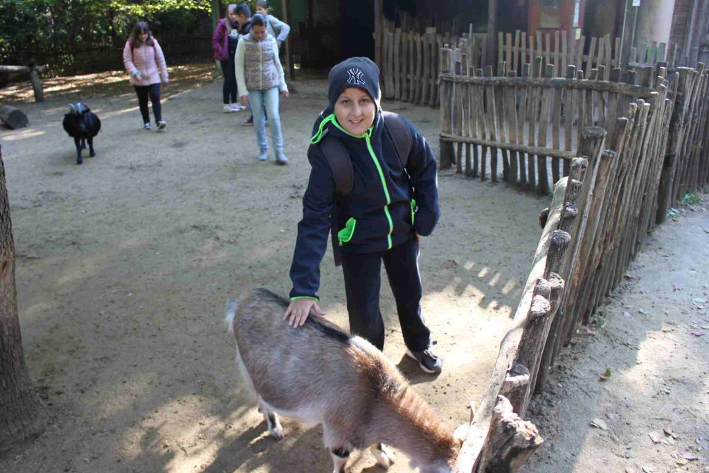 img-0193-3