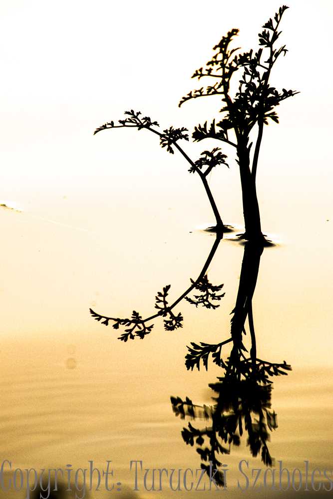 img-0203-2
