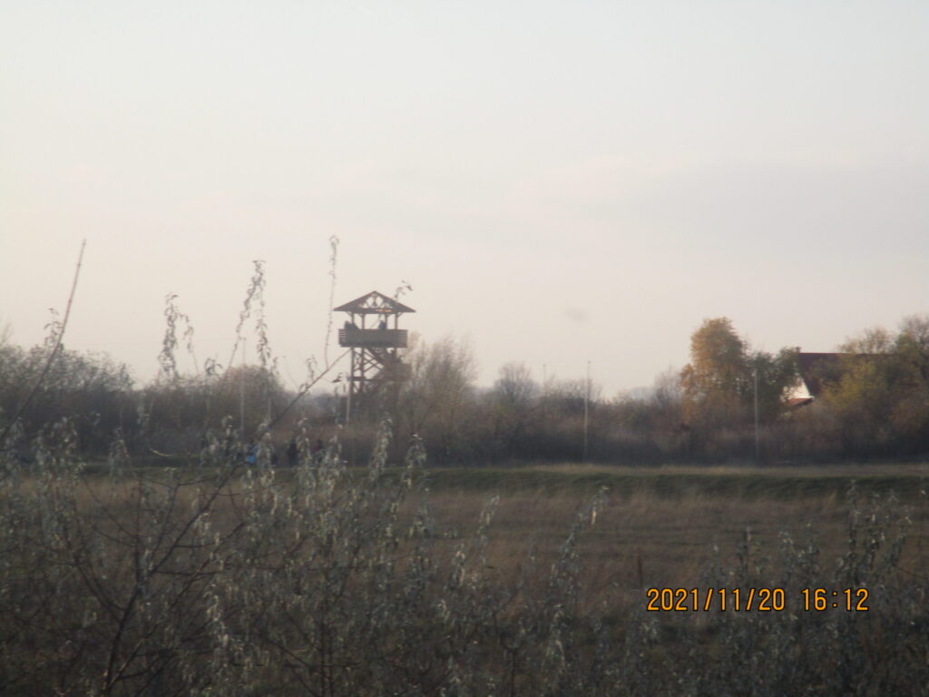 img-0255-scaled-1
