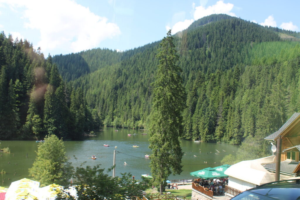 img-0262
