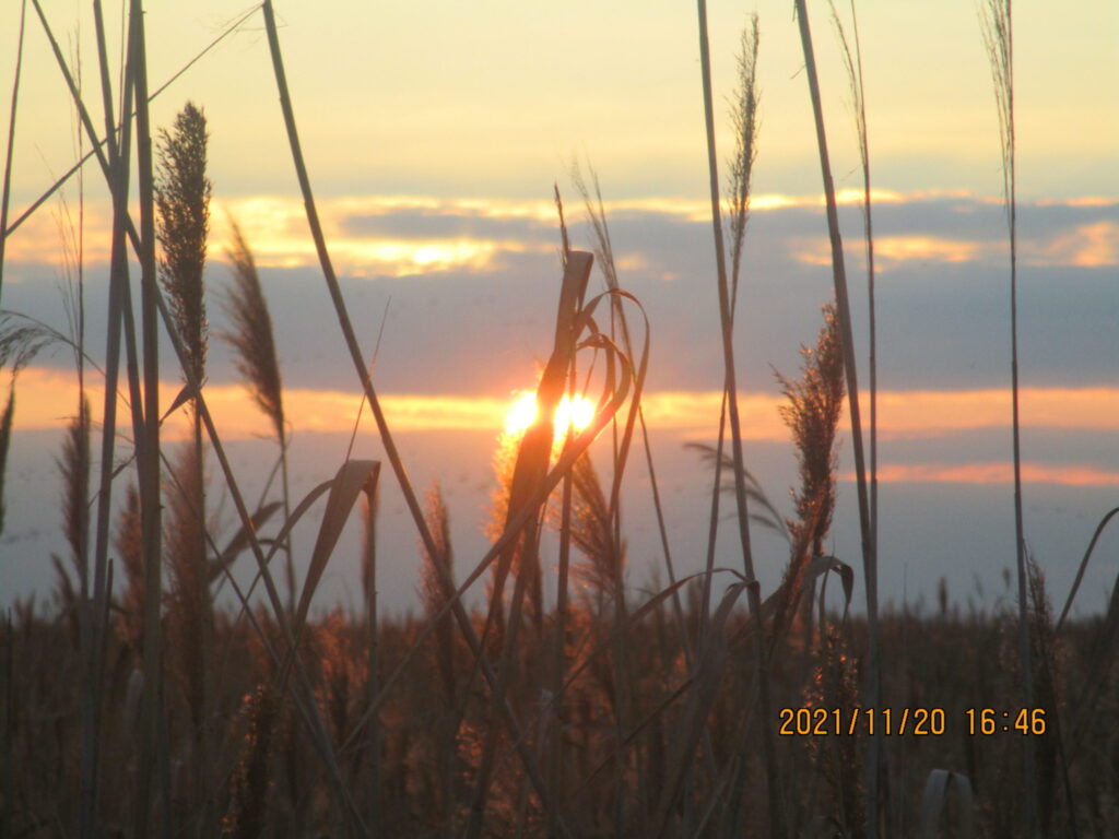 img-0264-scaled-1