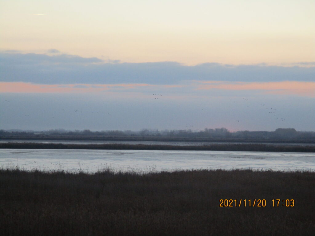 img-0267-scaled-1