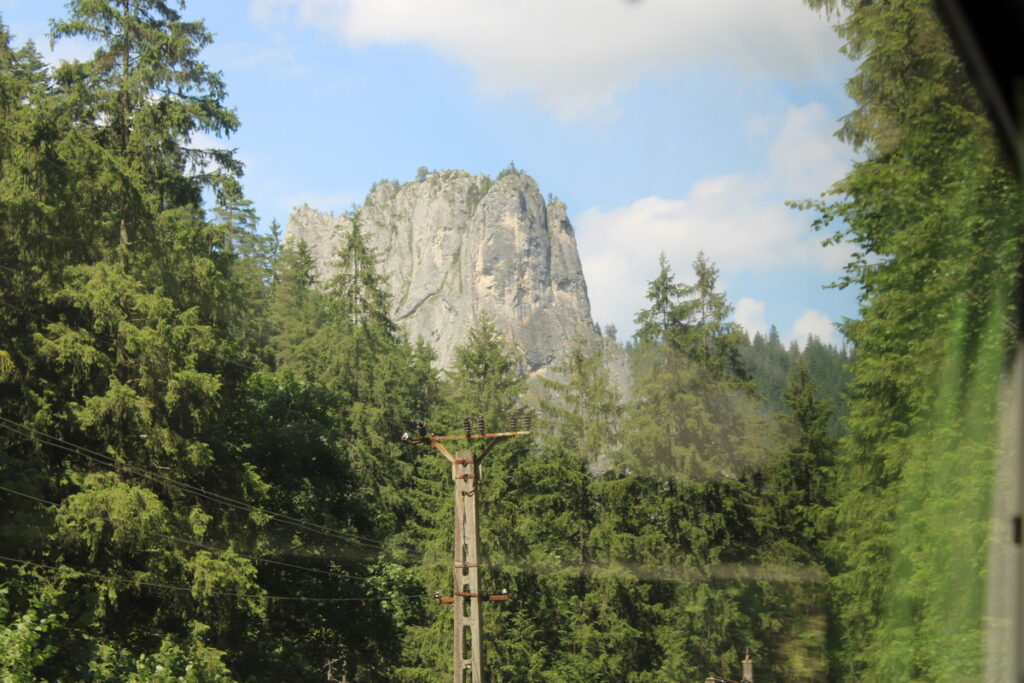 img-0295-1