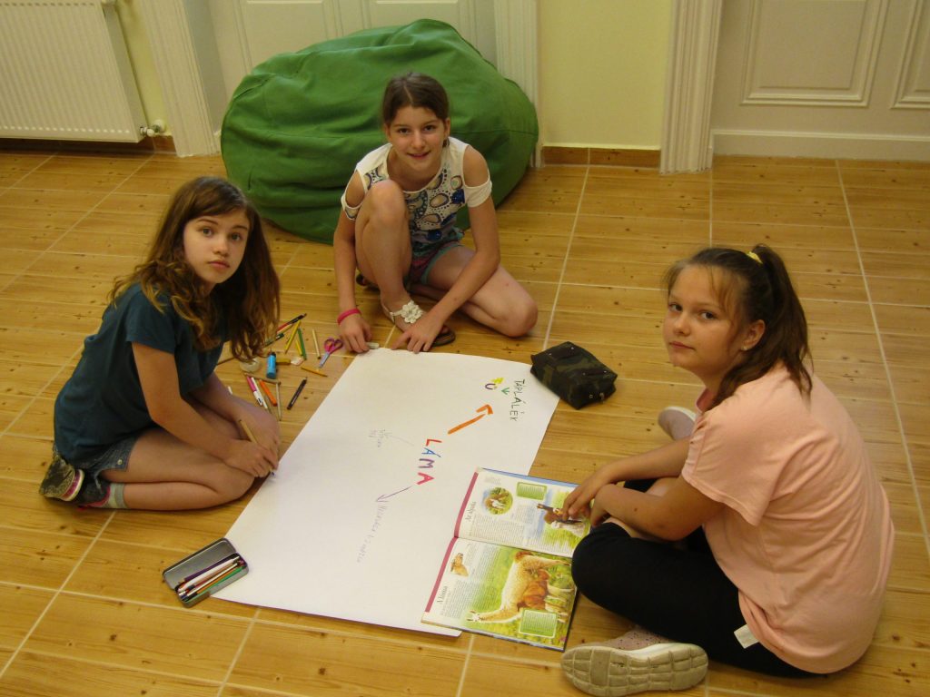 img-0315-scaled-3