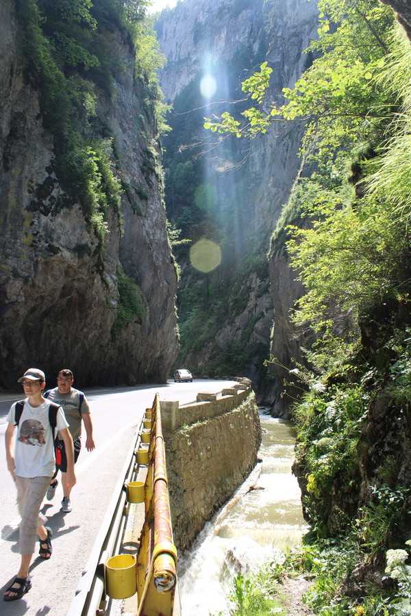 img-0366