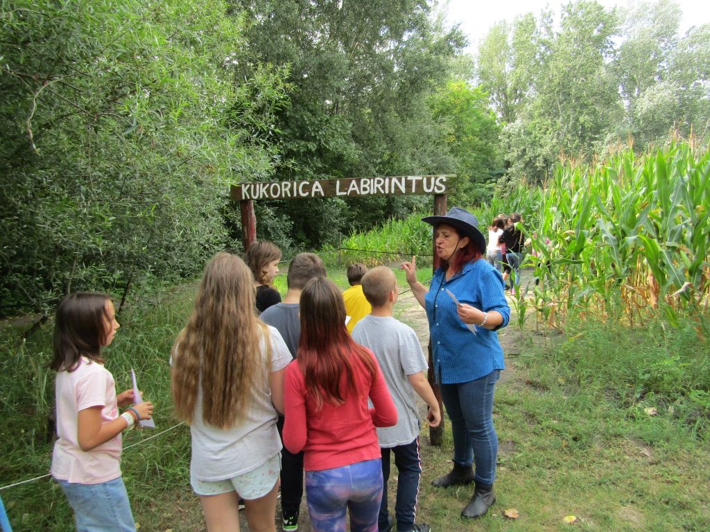 img-0386-5