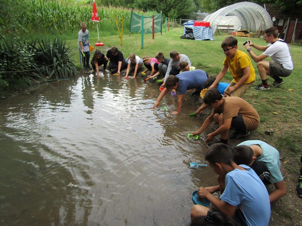 img-0419-4