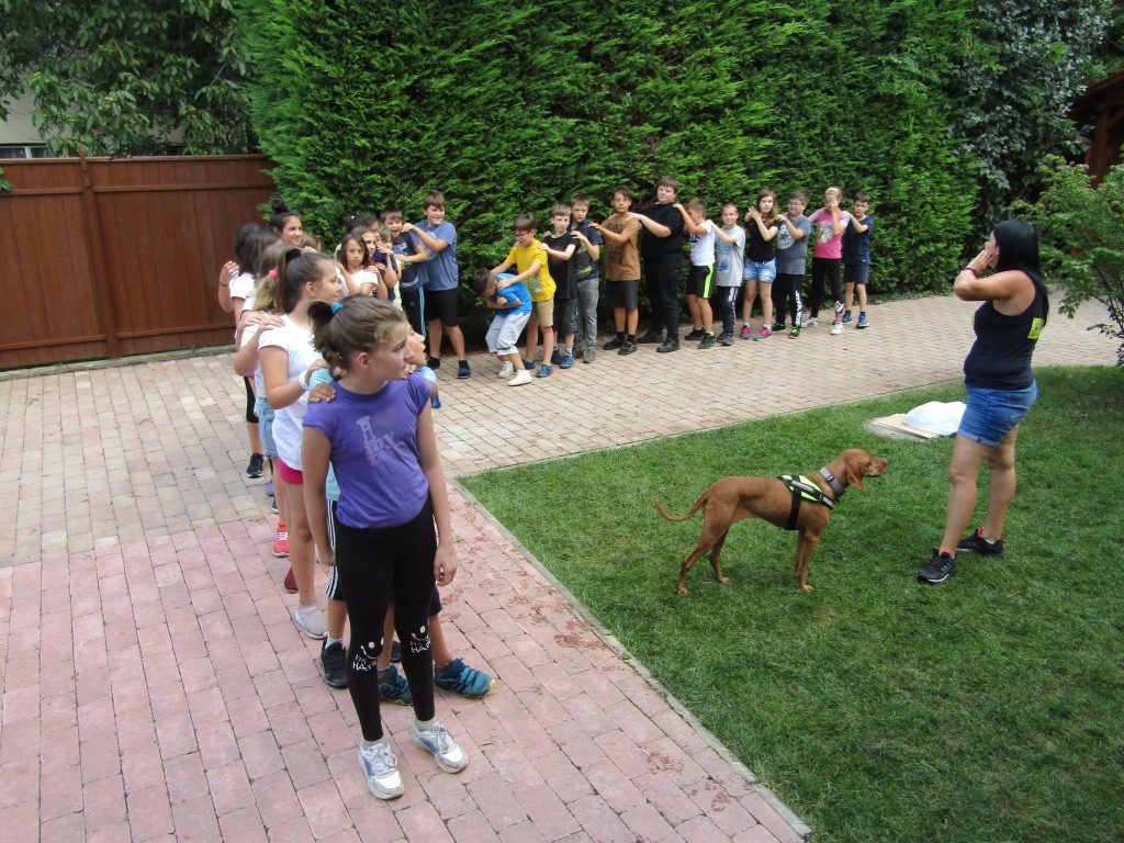 img-0495-2