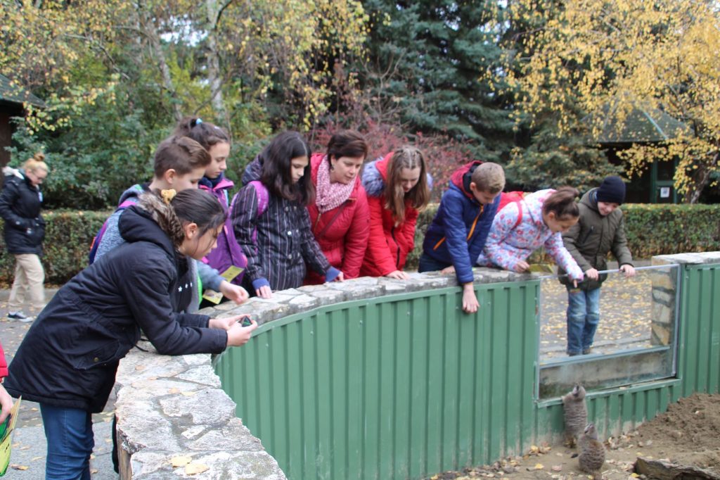 img-0548-3